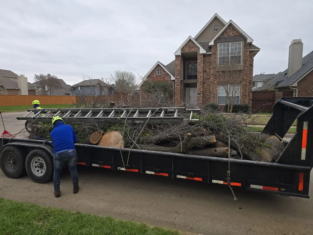 Expert Tree Fertilization with proper safety equipment in Melmore